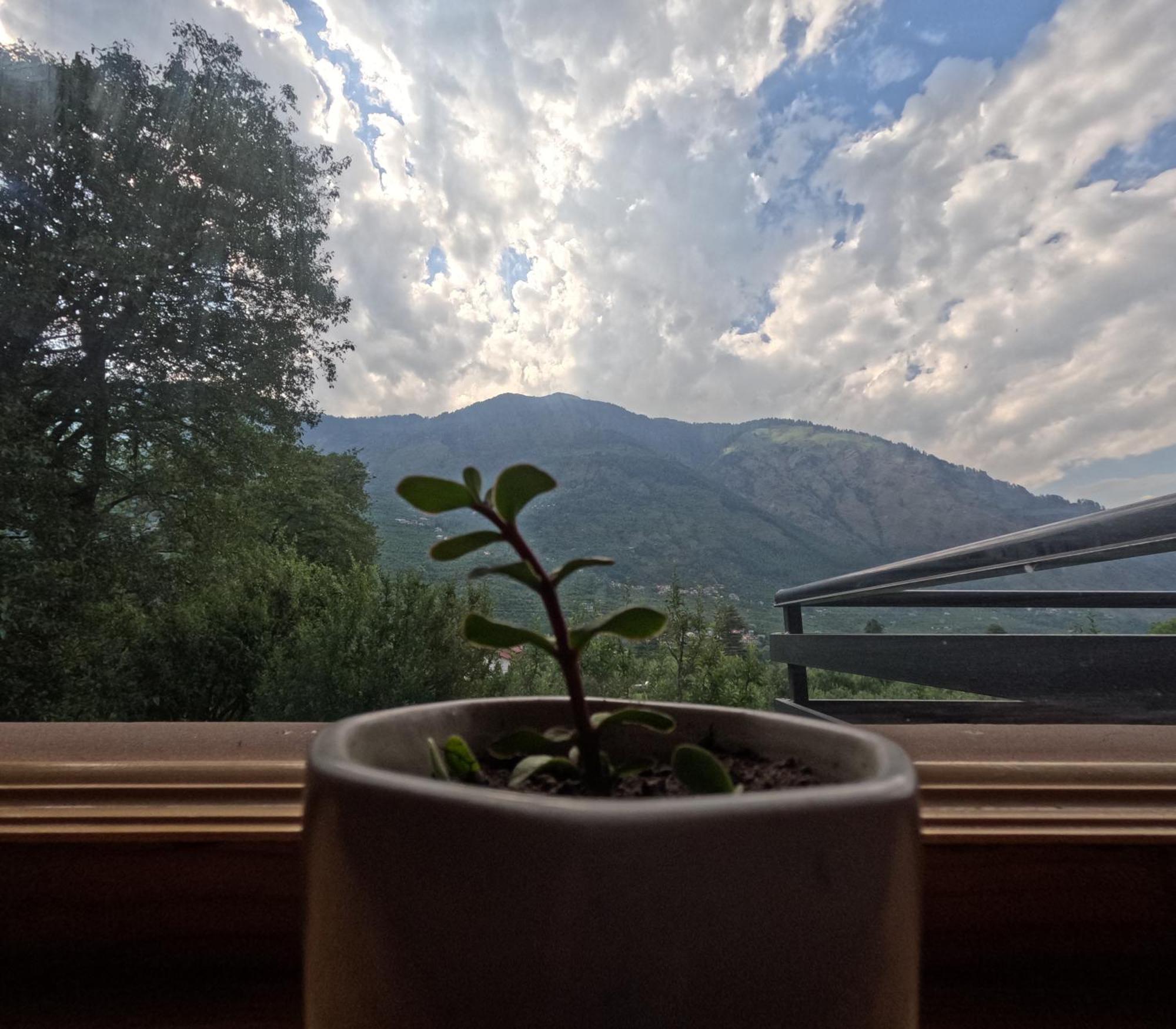 Saanjh - A Serene Retreat Manāli Kültér fotó